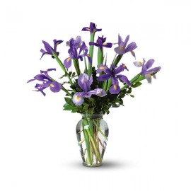 Iris Bouquet in a Vase